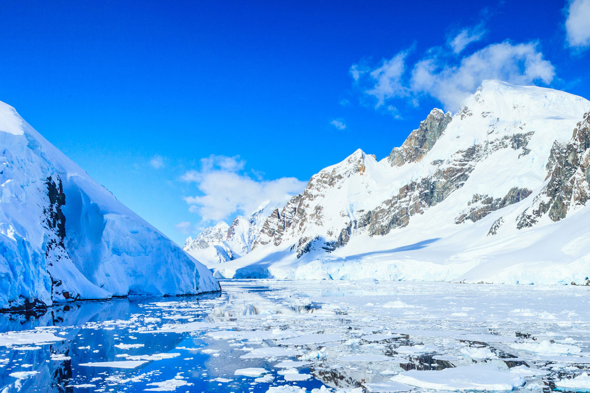 Antártida, deshielo, emisión de carbono, red latina